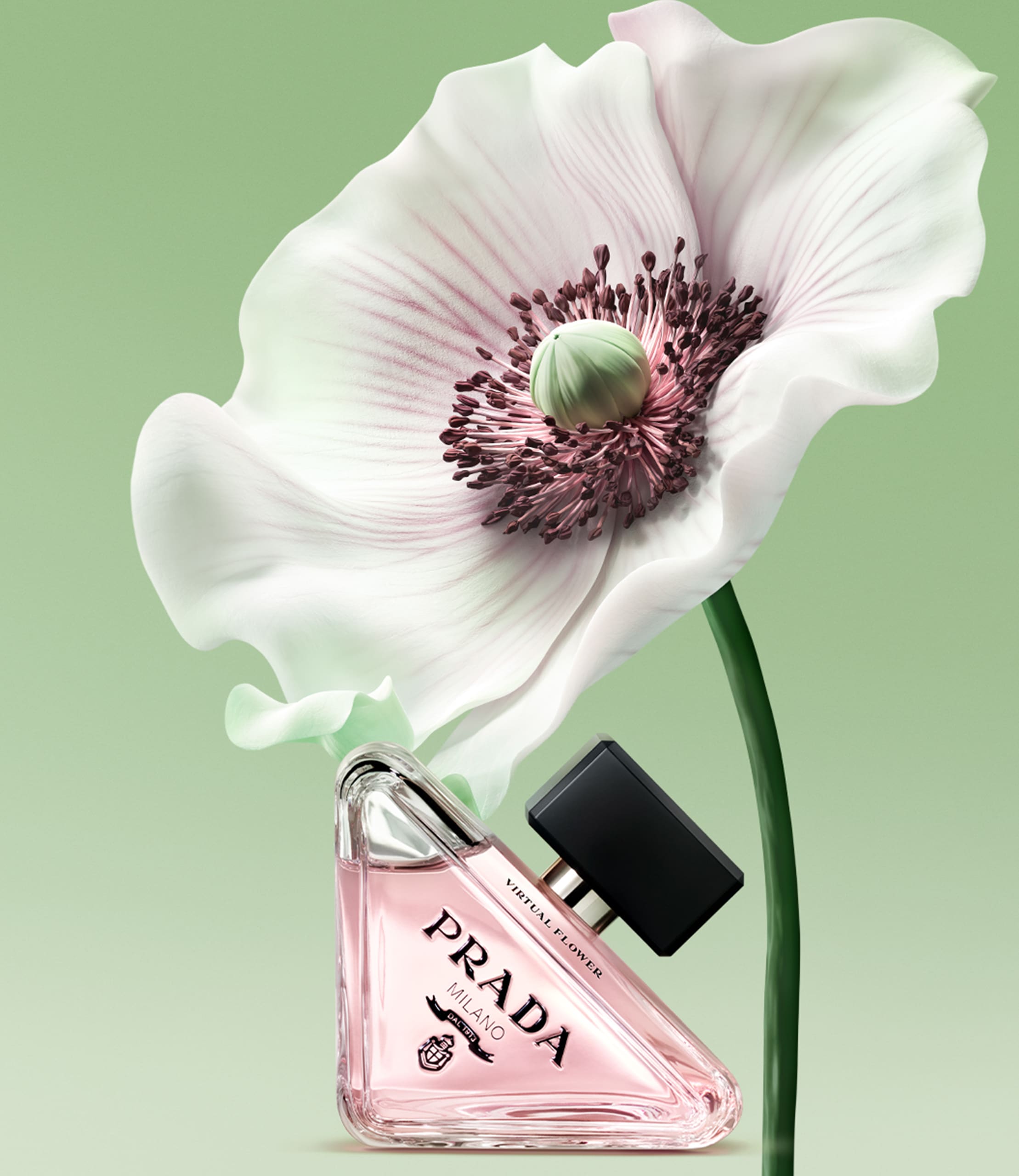 Prada Paradoxe Virtual Flower