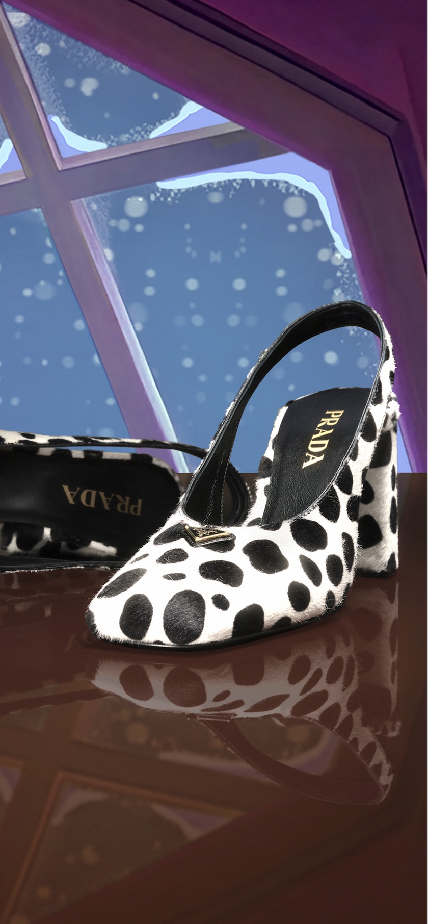 Shoes Shoes